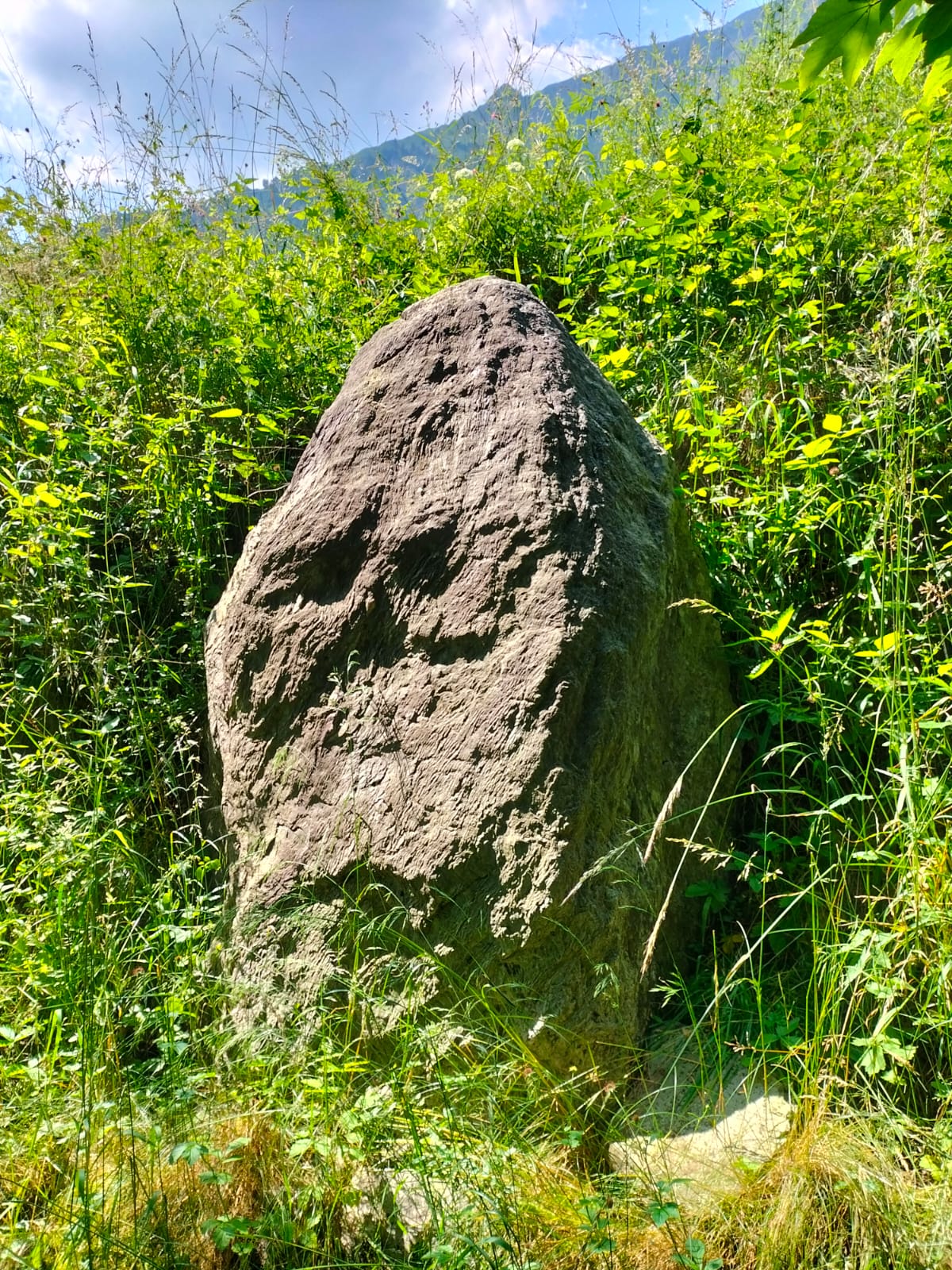 Immagine del menhir